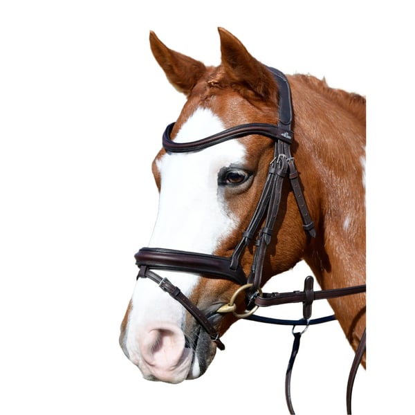 Collegiate Comfitec Leather Horse Bridle