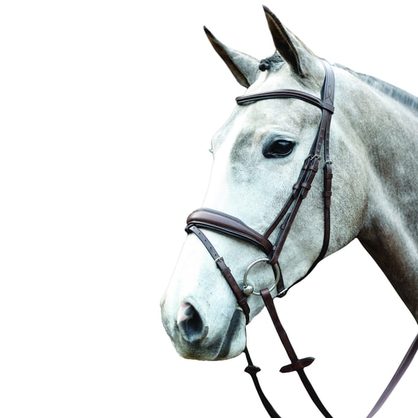 Collegiate Mono Crown Padded Raised Leather Flash Bridle