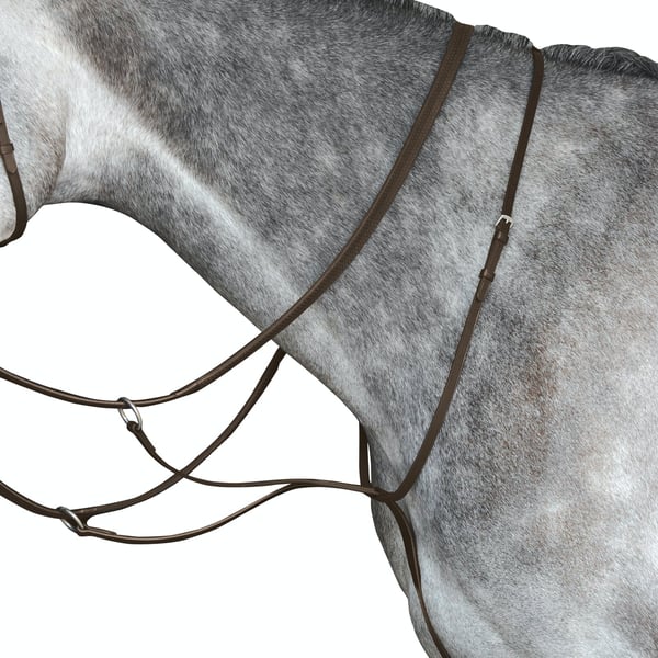 Collegiate Leather Running Martingale IV