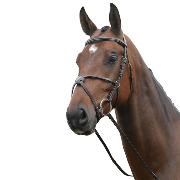 Kincade Leather Grackle Bridle II