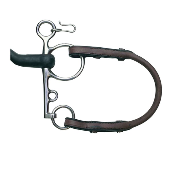 Collegiate Leather Bit Roundings IV