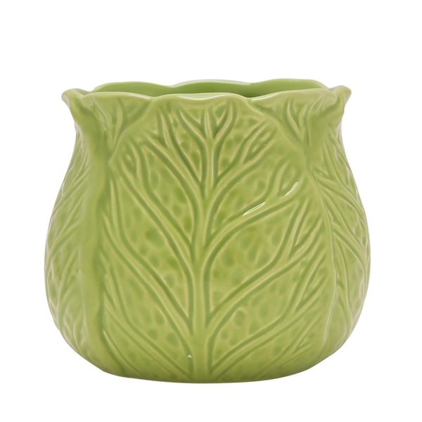 Celebrations The Cottage Garden Cabbage Mug