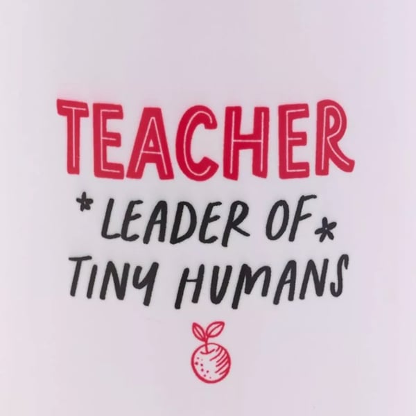 Celebrations Hullabaloo Teacher Leader Of Tiny Humans 325ml Mug