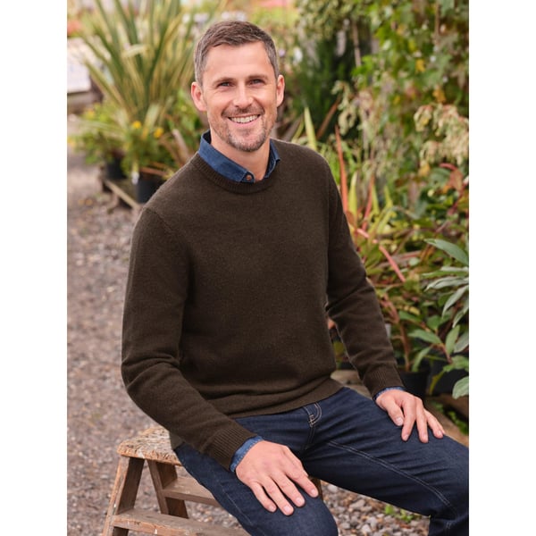 WoolOvers Mens Lambswool Crew Neck Jumper
