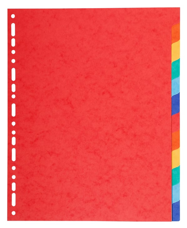 Exacompta 25x Recycled Dividers, A4 Maxi, 220gsm, 12 dele - assorterede farver 2112E