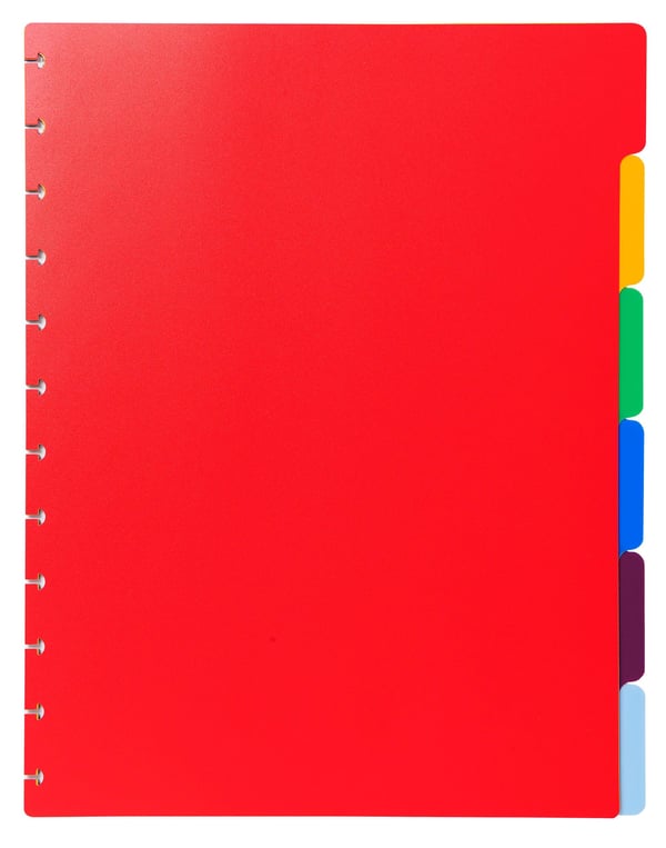 Exacompta 10x Polypropylen 6-delt farvede inddelere til flytbar displaybog. - assorterede farver 86002E