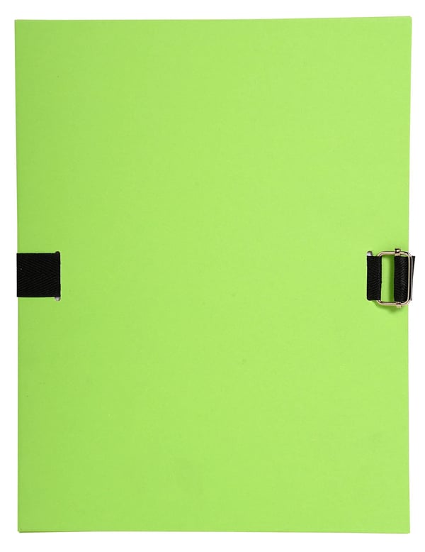Exacompta 10x Forever Recycled Recycled Expanding Spine Folder - Lysegrøn 38003H
