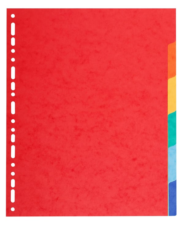 Exacompta 50x Dividers A4 Maxi vivid 6 faner - assorterede farver 2106E