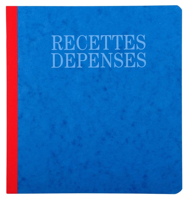 Exacompta 5x PIQ. 21/19 RECETTES-DEPENSES 80 SIDER - assorterede farver 930E