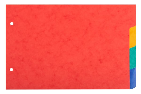 Exacompta 10x Skillevaegge til pladskort 225gsm karton 4 dele - A5 148x210mm - assorterede farver 804E