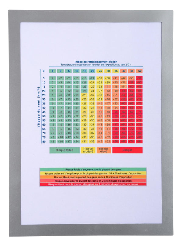 Exacompta 5x magnetisk lomme/skiltholder til arbejdsmiljø/farer med magnetisk display (A4) - Sølv 39200E