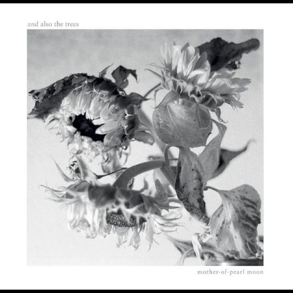 And Also The Trees: Mother-of-pearl Moon (Vinyl LP)