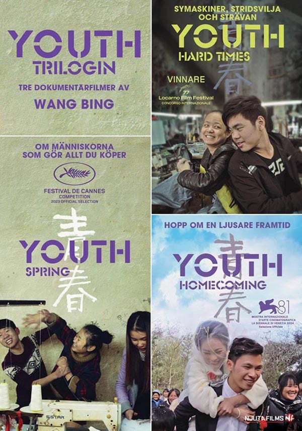 Youth: Trilogien (Spring, Hard Times, Homecoming) (3 DVD)
