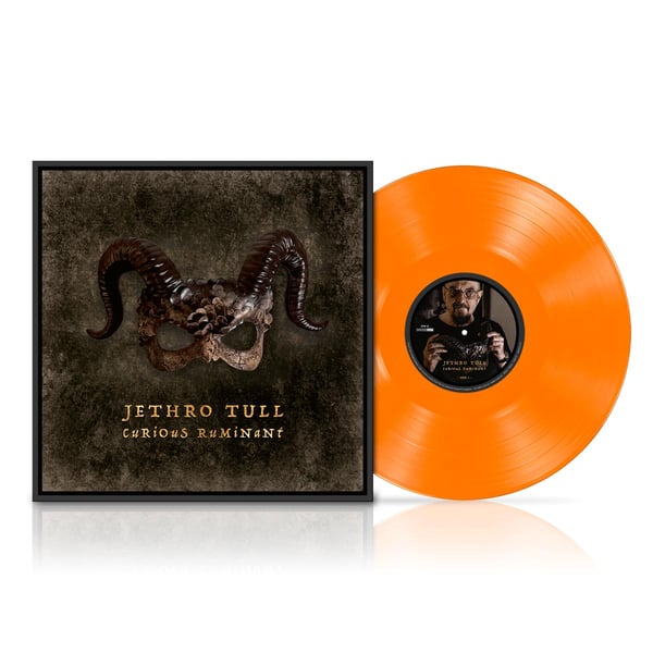 Jethro Tull: Curious ruminant (Orange/Ltd) (Vinyl LP)