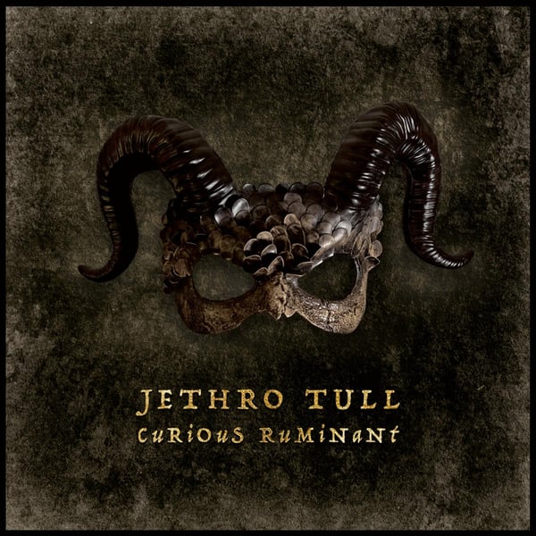 Jethro Tull: Curious ruminant (Vinyl LP)