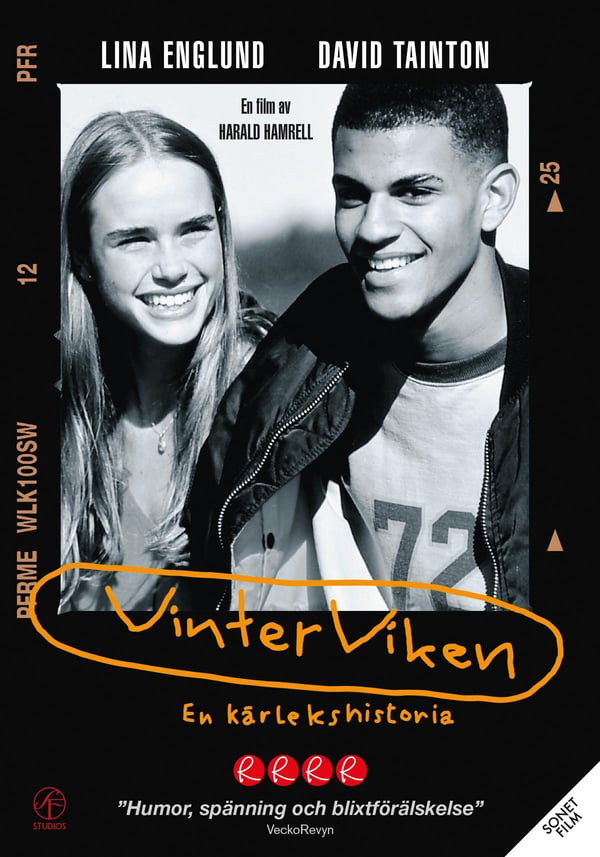 Vinterviken (DVD)