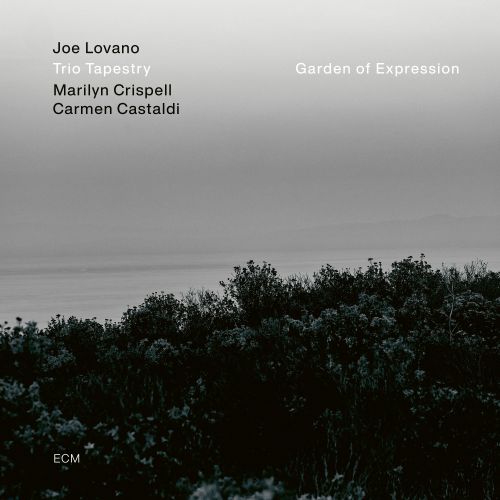 Lovano Joe/Trio Tapestry: Garden of expression (Vinyyli LP)