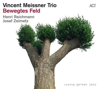 Vincent Meissner Trio: Bewegtes feld 2021 (CD)
