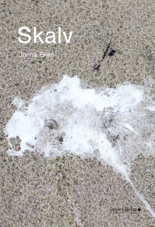 Skalv (Bok / Häftad)