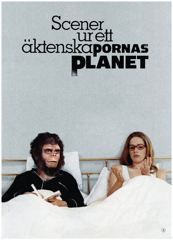 Kohtauksia eräästä avioliitosta (Kirja / Nidottu)