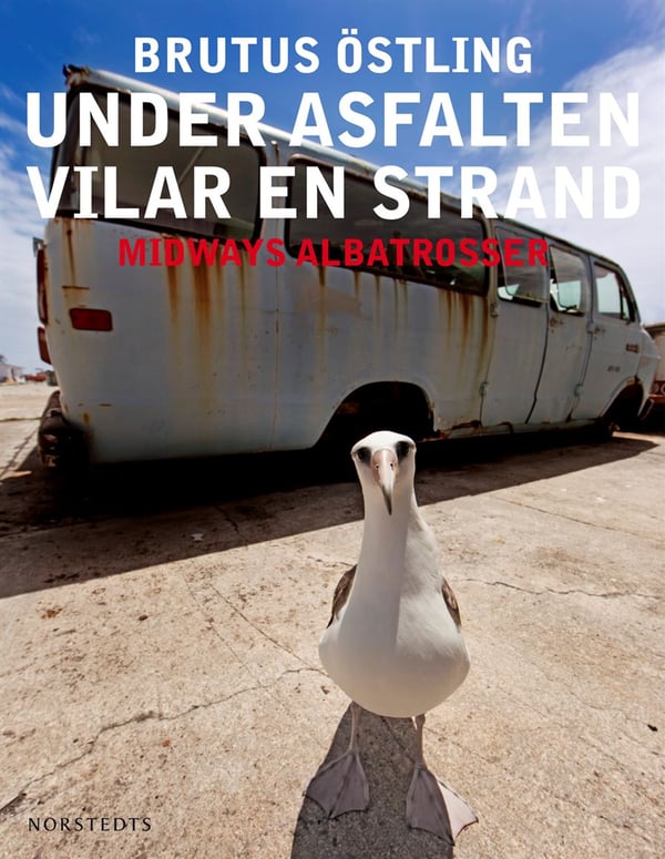 Under Asfalten Vilar En Strand - Midways Albatrosser (Bok / Inbunden)