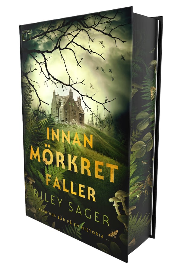 Ennen pimeän tuloa (Kirja / Kovakantinen)