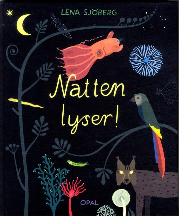 Natten Lyser! (Bok / Inbunden)