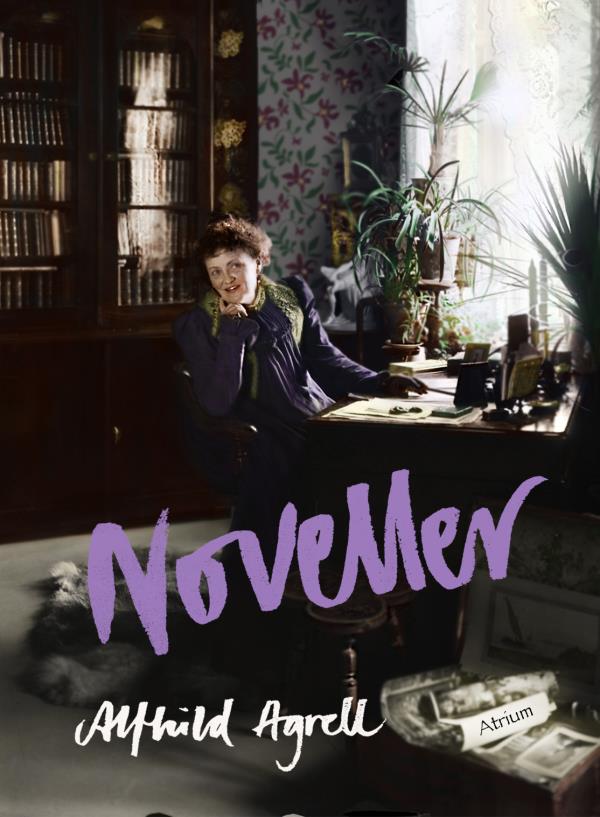 Novelleja (Kirja / Tanskalainen kansi)