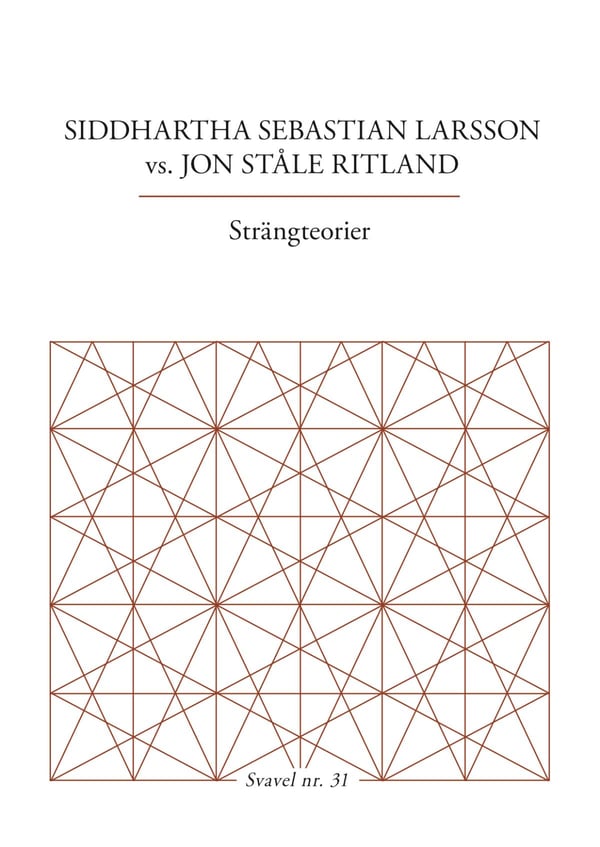 Strängteorier (Bok / Häftad)