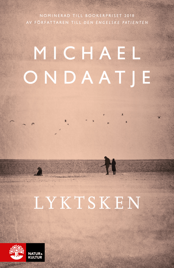 Lyktsken (Bok / Inbunden)