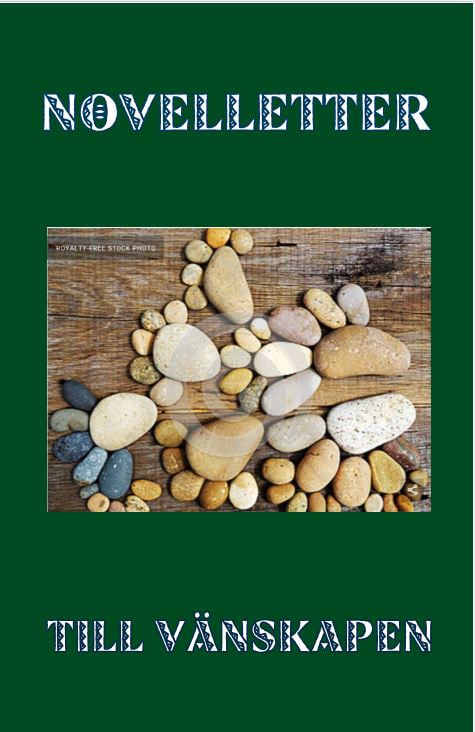Novelleja ystävyydestä - Tarinoita ihmissuhteista ja yhteisöllisyydestä teemana (Kirja / Nidottu)