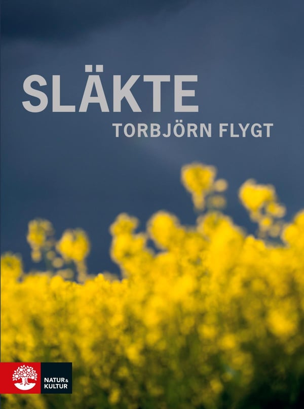 Släkte (Bok / Inbunden)