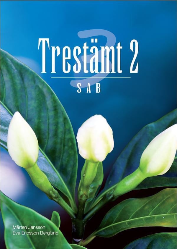 Trestämt 2 Sab (Kirja / Nidottu)