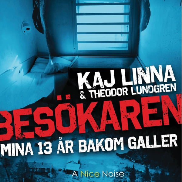 Besökaren - Mina 13 År Bakom Galler (Ljudbok / MP3 CD)