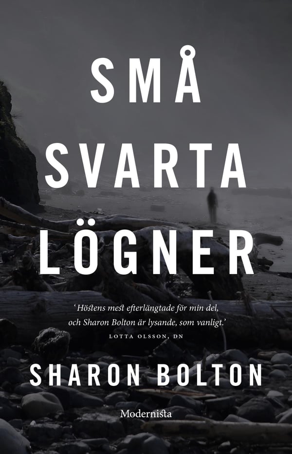Små Svarta Lögner (Bok / Storpocket)