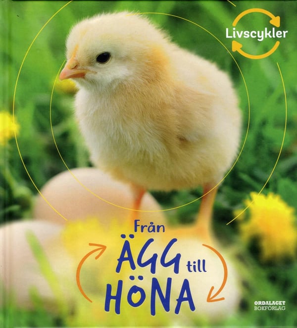 Från Ägg Till Höna (Bok / Inbunden)