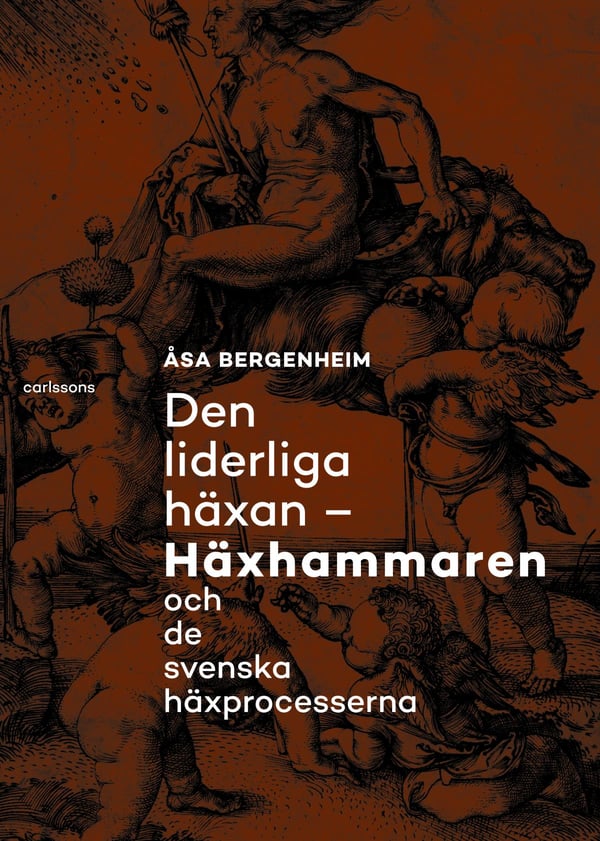 Den Liderliga Häxan - Noita- ja Ruotsin noitaprosessit (Kirja / Kovakantinen)