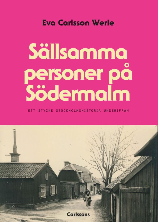Harvinaisia ihmisiä Södermalmilla - Pala Tukholman historiaa alhaalta päin (Kirja / Kovakantinen)