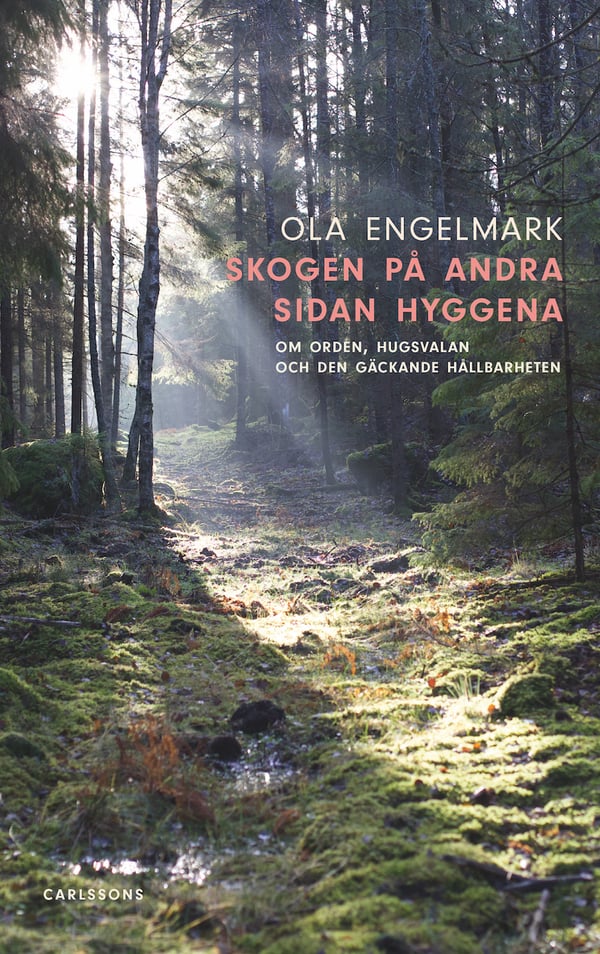 Metsä hakkuuaukeiden toisella puolella - sanoista, lohdusta ja pakenevasta kestävyydestä (Kirja / Kovakantinen)