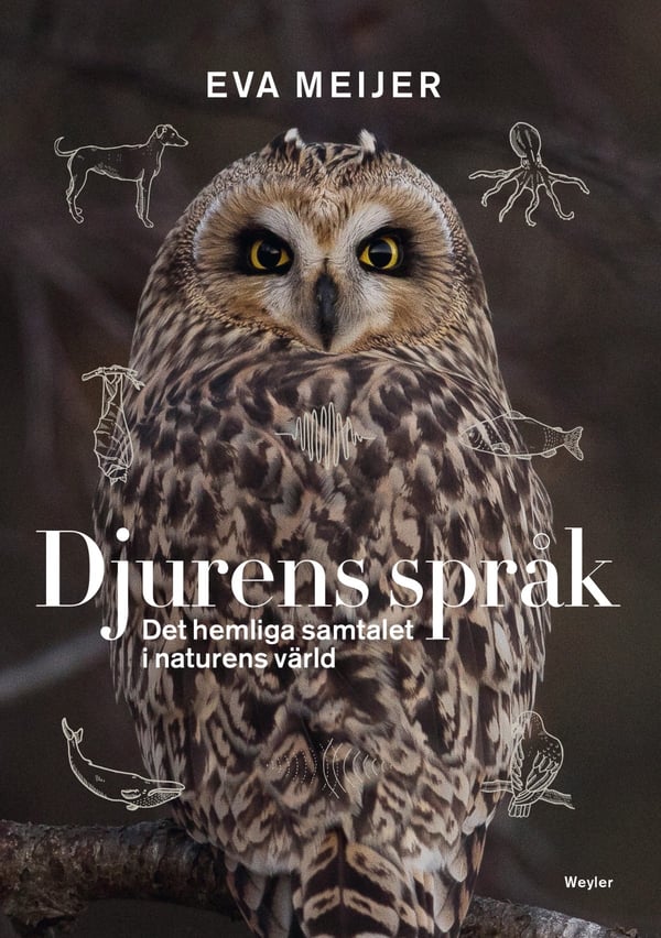 Djurens Språk - Det Hemliga Samtalet I Naturens Värld (Bok / Pocket) Djurens Språk - Det Hemliga Samtalet I Naturens Värld (Bok / Pocket)