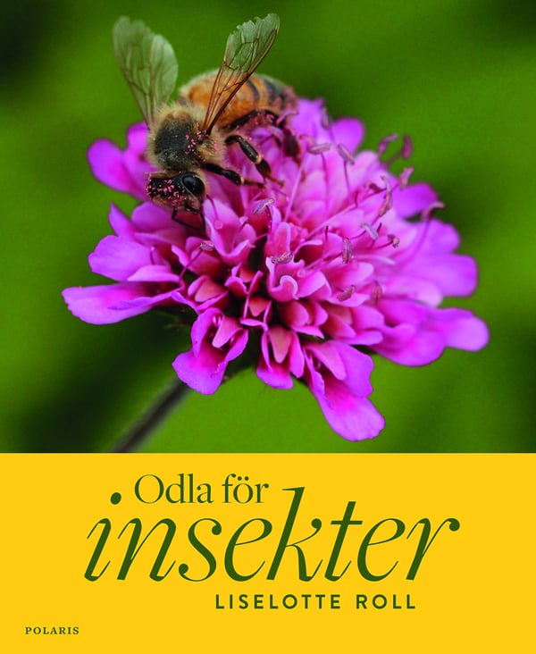 Odla För Insekter (Bok / Inbunden)