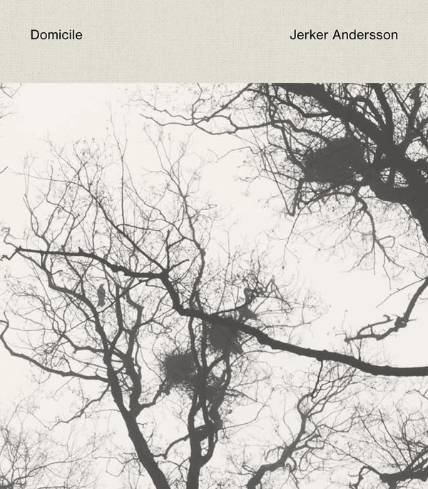 Domicile (Bok / Klotband)