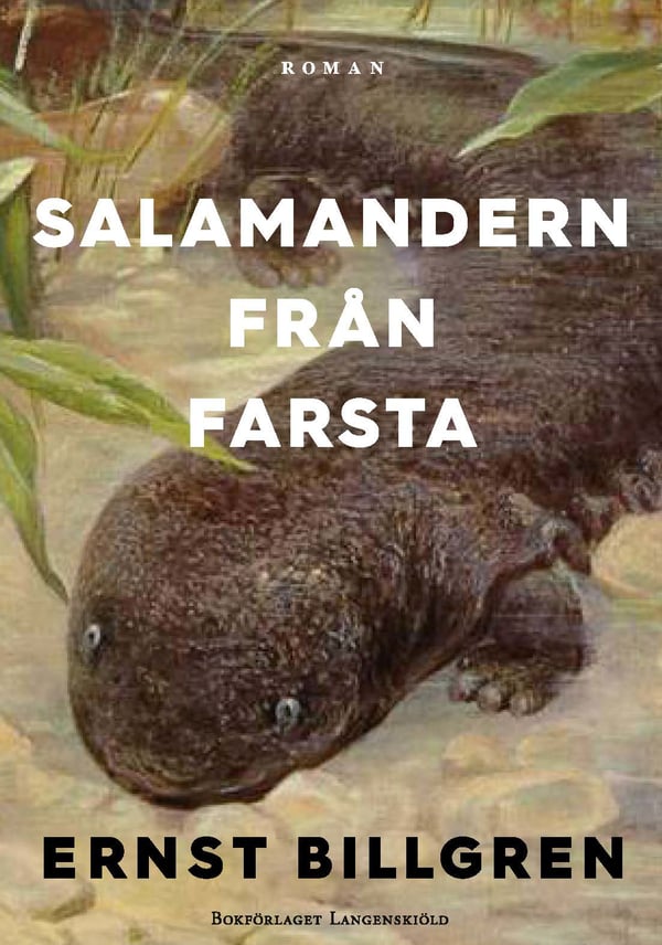 Salamanteri Farstasta (Kirja / Flexband)