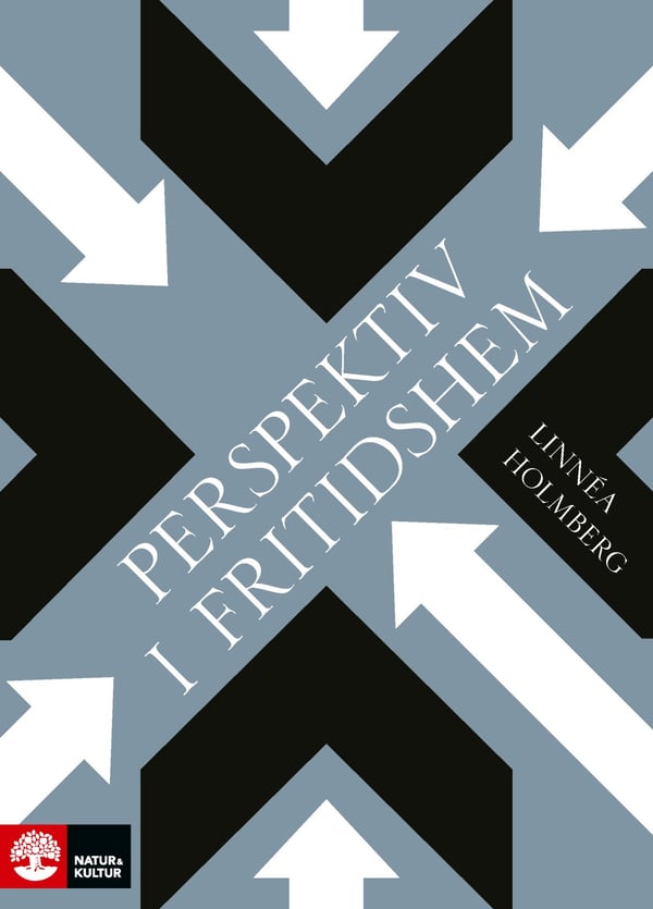 Perspektiv I Fritidshem (Bok / Danskt band)