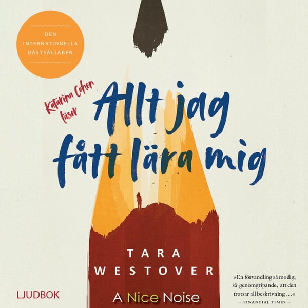 Allt Jag Fått Lära Mig (Ljudbok / MP3 CD)