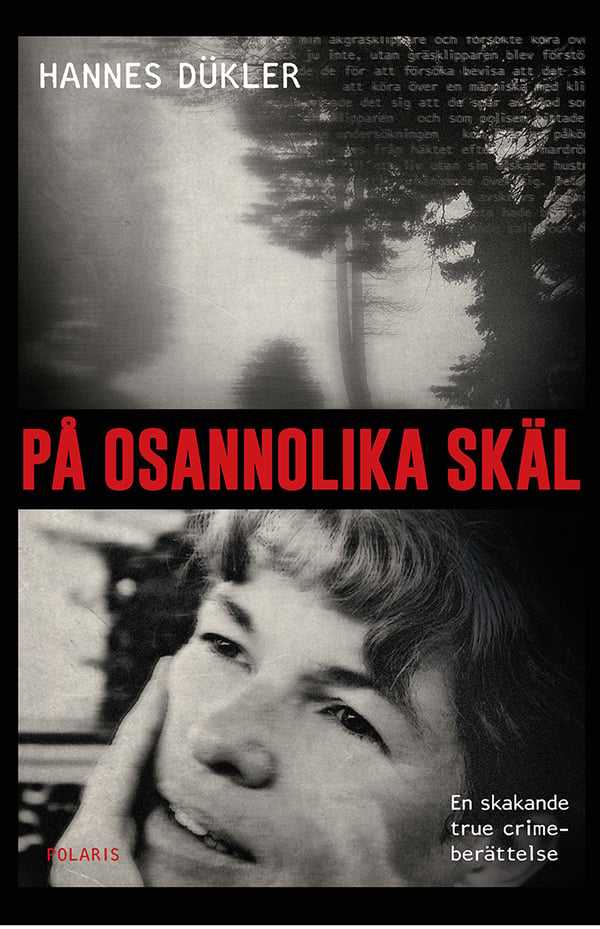 Epätodennäköisin perustein (Kirja / Pokkari)