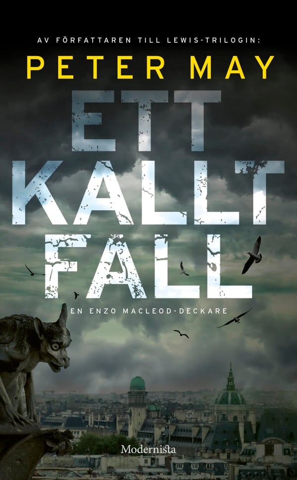 Ett Kallt Fall (Bok / Pocket)