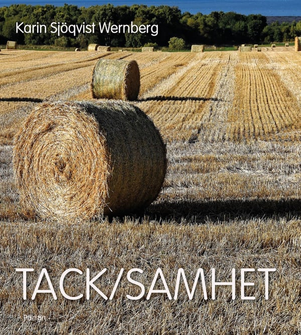Kiitos/Yhteisö (Kirja / Kovakantinen)