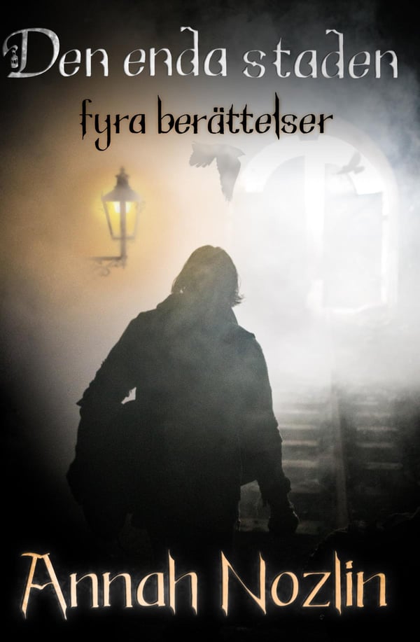 Den Enda Staden - Fyra Berättelser (Bok / Häftad)