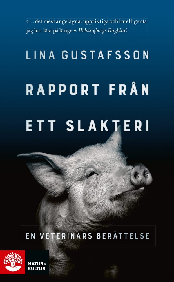Rapport Från Ett Slakteri - En Veterinärs Berättelse (Bok / Pocket)